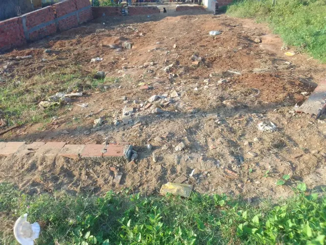 Terreno
