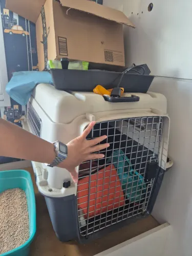 Caixa de transporte para cães e gatos avião cobasi tamanho G