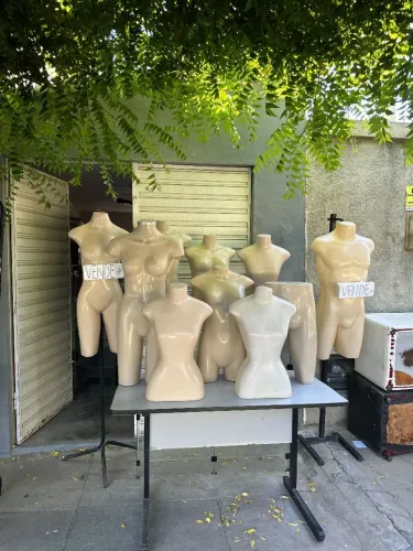 Expositores masculino/feminino de mesa