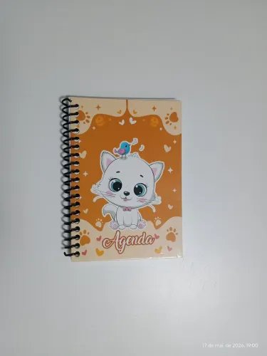 Agenda permanente capa dura 128 páginas
