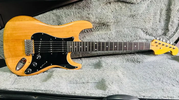 Guiguitars