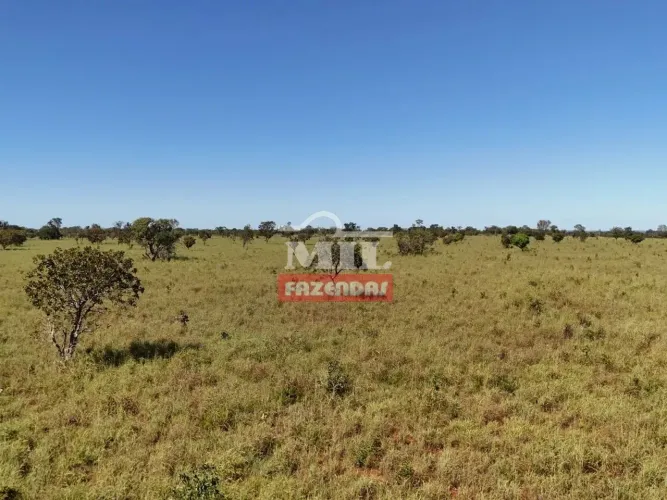 Fazenda 514 alqueires (2487 hectares) Almas - To