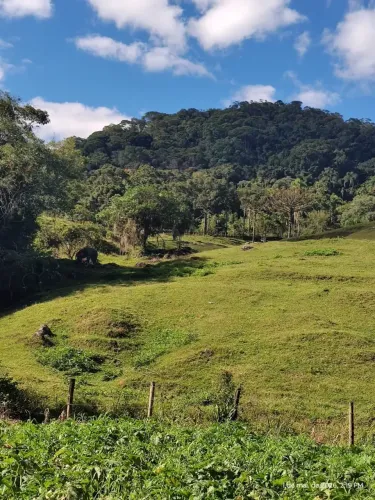 Terreno para venda possui 109098 metros quadrados em Area Rural - Águas Mornas - SC