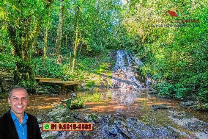 Chácara de 6 hectares à Venda em Nova Hartz  RS
