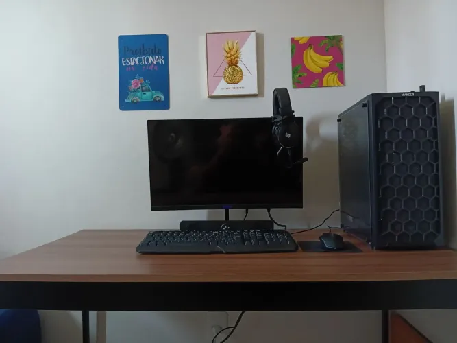 Pc gamer
