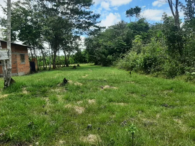 Vende-se terreno em Santa Maria de Benfica