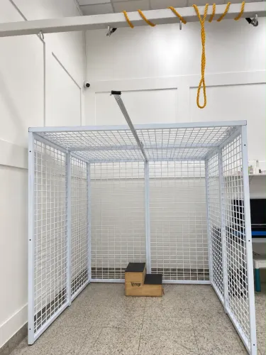 Gaiola de habilidades fisioterapia intensiva