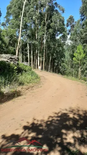 AREA RURAL em PICADA CAFÉ - RS, BR 116