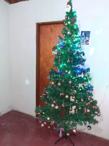 Arvore de Natal