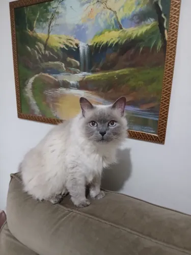 Doação