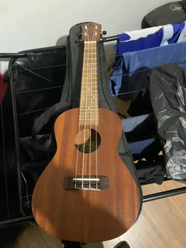 Ukulele concert