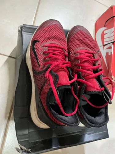Nike Lebron Witness IV