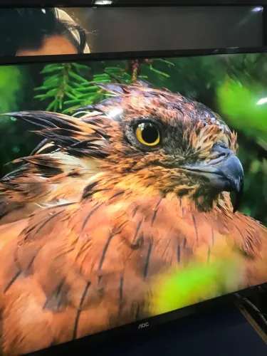 Tv Roku 43 Polegadas 4K