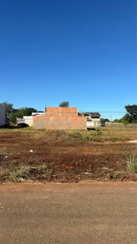 Vendo 5 lotes juntos na 1305 sul