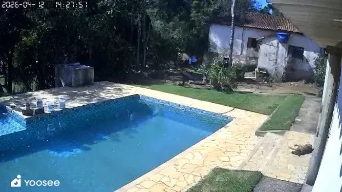 SÍTIO ABAIXO DO PREÇO - ESSE FINAL DE SEMANA | PORTEIRA FECHADA Muzambinho