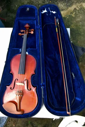 Violino/viola. Eagle VA 150