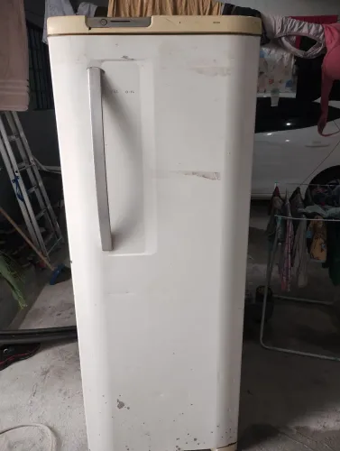 Vendo Geladeira Queimada