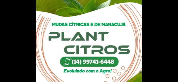 Mudas de maracujá e cítricas 