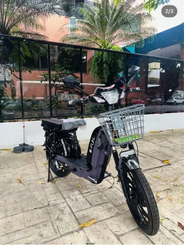 Bicicleta elétrica- modelo Pantaneira