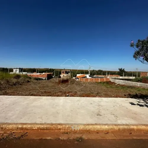 Venda de Terreno / Padrão na cidade de Araraquara