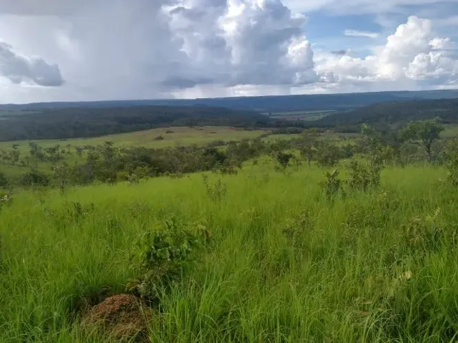 Fazenda a Venda no Tocantins Goias Minas Gerais Porto Nacional
