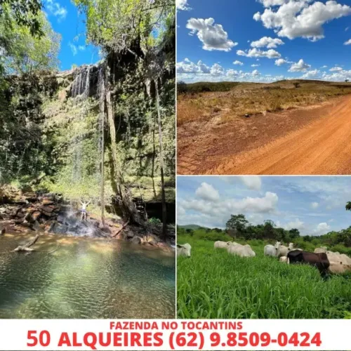 Fazenda a Venda Tocantins 50 Alqueires Cachoeira Pasto Gado Cidade Porto Nacional