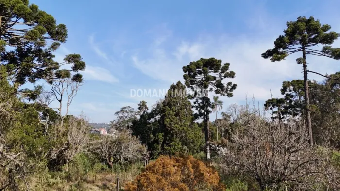 Ampla Área de Terreno à Venda na Região do Atalaia - Campos do Jordão/SP