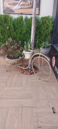 Bicicleta Decorativa para Jardim com Plantas