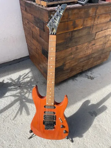 Guitarra Dolphin Fly com captadores Sérgio Rosar ponte Floyd rose special