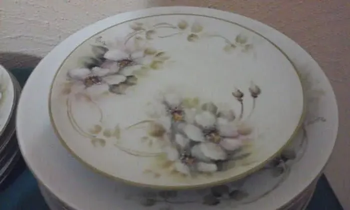 Conjunto de louças vintage floral