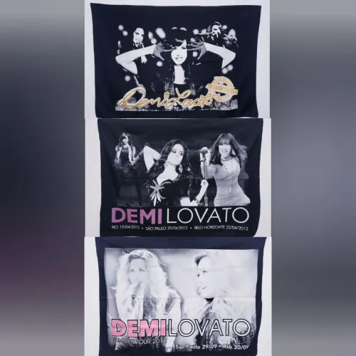 Bandeiras da Demi Lovato