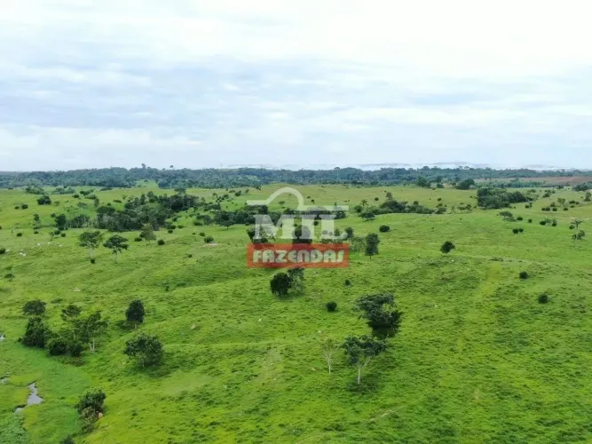 FAZENDA 150 ALQUEIRES (726 HECTARES) OURILÂNDIA DO NORTE - PA