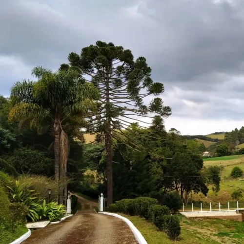 Sitio cinematográfico, excelente localização, oportunidade imperdivel. Raridade em Cunha