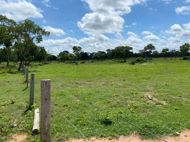 Excelente Fazenda a beira do asfalto no Muni. de Poconé - Pantanal - MT