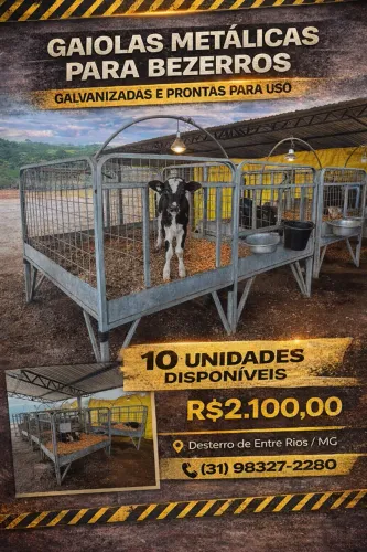 Gaiolas Metálicas para Bezerros Galvanizadas - 10 Unidades - Prontas para Uso