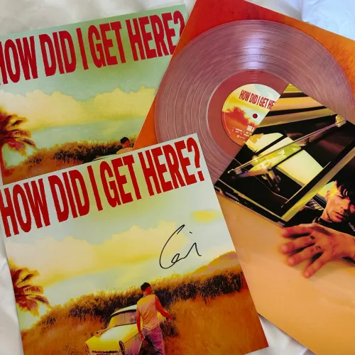 Vinil Autografado - Louis Tomlinson