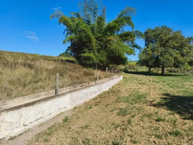 Área rural com 7.4 alqueires em São Vicente de Paulo