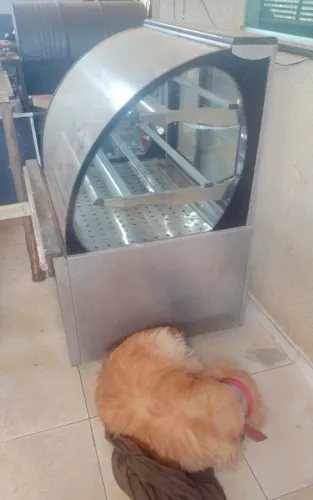 Vendo balcão mostruário