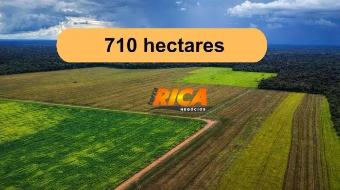 Vende-se Fazenda com 710 Hectares em Humaitá-AM!