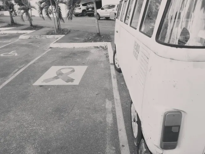 Volkswagen Kombi Standard/ Luxo/ Serie Prata 1996
