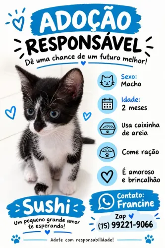 GATINHO SUSHI ADOÇÃO RESPONSÁVEL