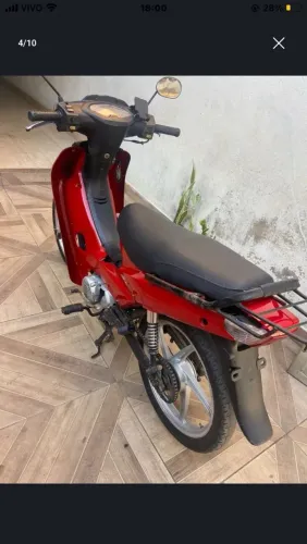 Shineray phoenix gold 50cc
