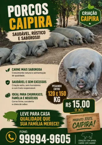 Venda de suinos 