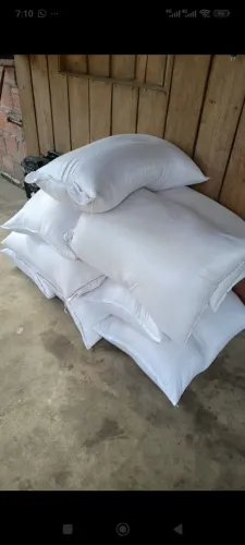 Ração postura para galinhas 