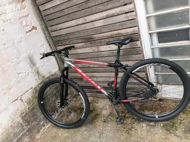 Fírst aro 29
