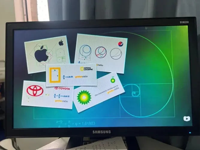 MONITOR SAMSUNG S19E310