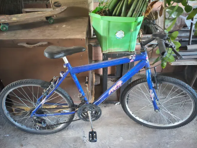 Bicicleta