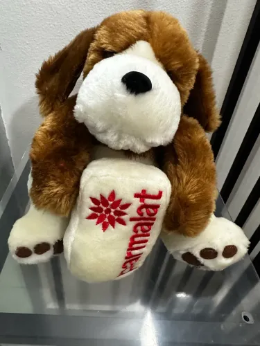 Cachorro da Parmalat