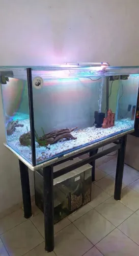 Aquário