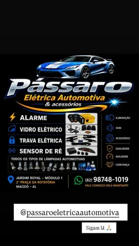 PASSARO ELÉTRICA AUTOMOTIVA